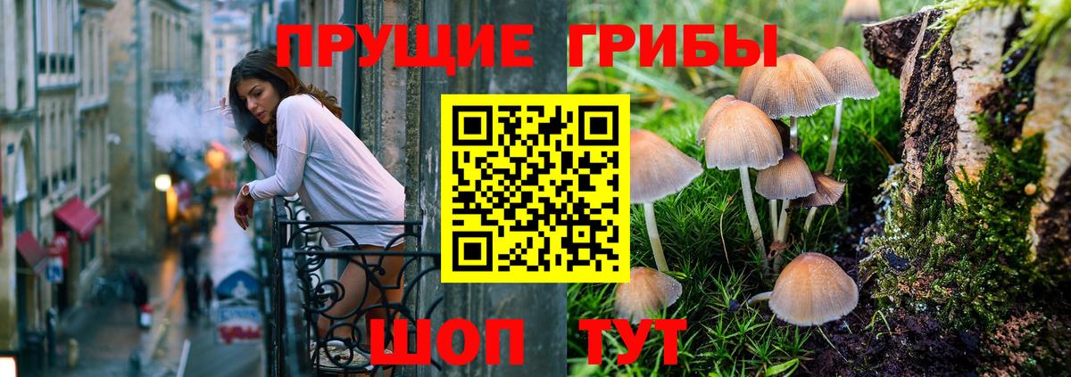 Галлюциногенные грибы мицелий  Псилоцибиновые грибы Psilocybe  Луга  даркнет сайт  Вход с VPN 